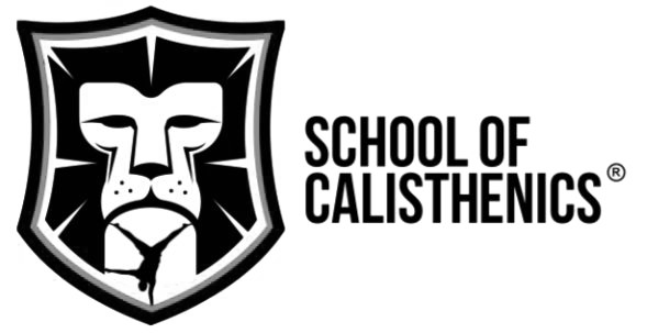 School of Calisthenics School of Calisthenics